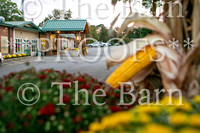 Barn_ReUnion_Oct2019_PRF-008