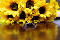 Driscoll__Carrigan_Wed_Finals-016