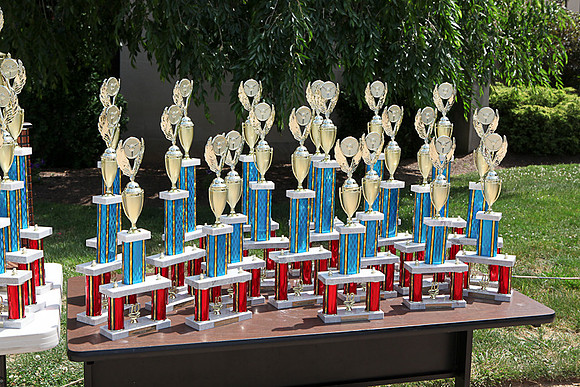 FJ_CarShow_2010_Proof-088