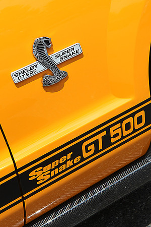 FJ_CarShow_2010_Proof-046