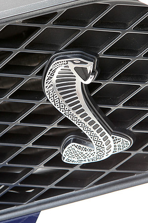 FJ_CarShow_2010_Proof-043