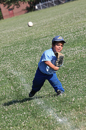 7_8BB_Gold_2010_PRF-010