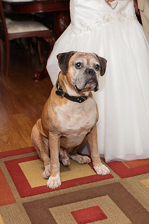 Brown_Wedding_PRF-049