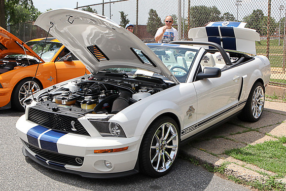 FJ_CarShow_2010_Proof-041