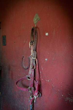 SollyAve_HorseStable-03