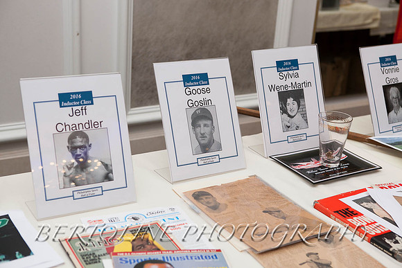 Sports_HOF_2016-018